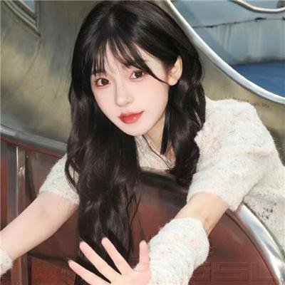 甄嬛传